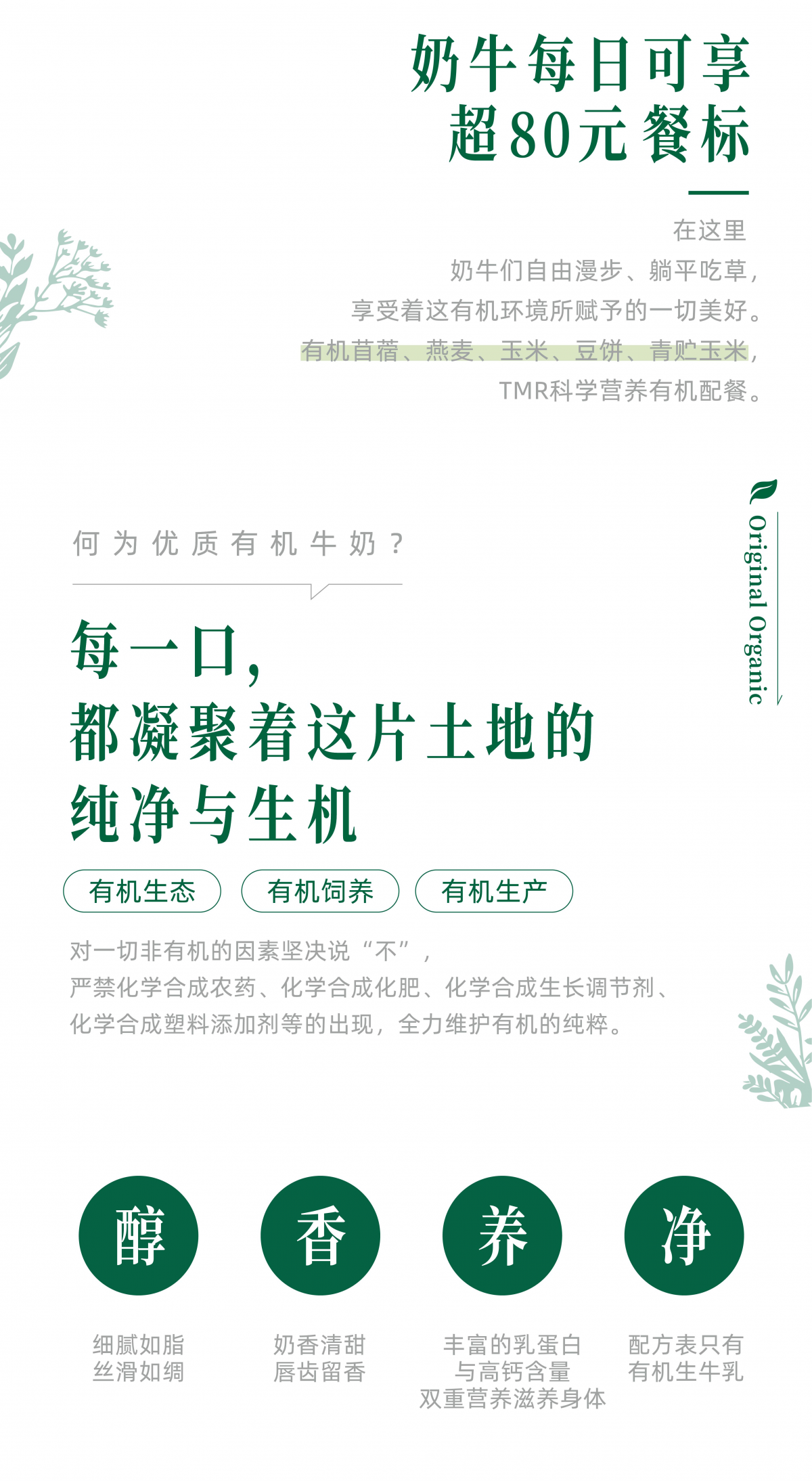 图层 4