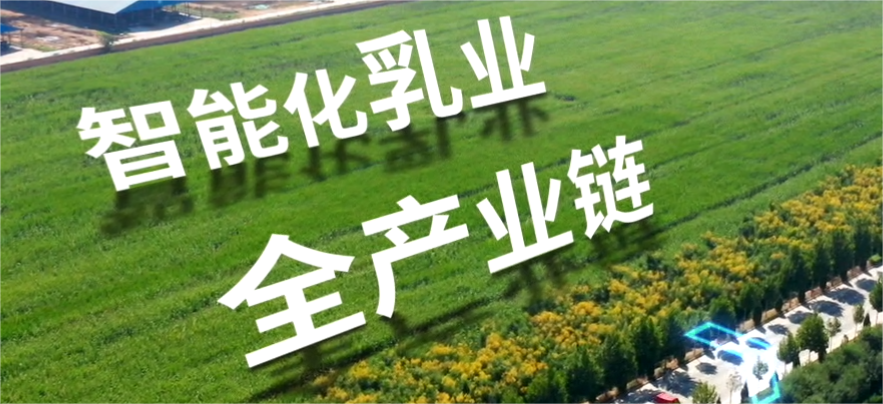 尊龙凯时「中国区」人生就是搏!