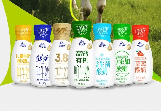 尊龙凯时「中国区」人生就是搏!